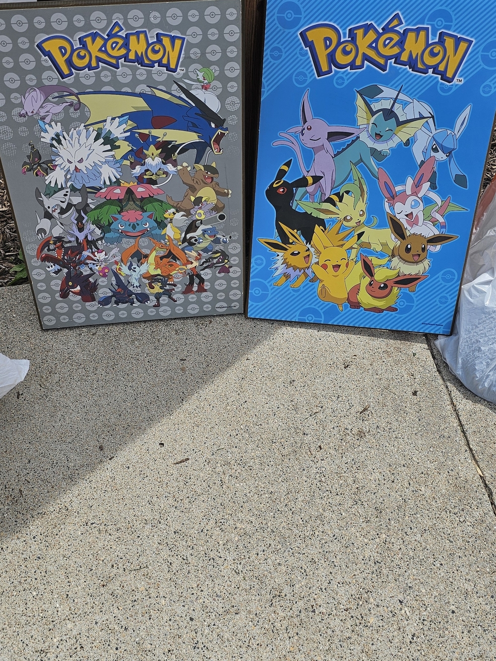 13 X 19 Wooden Pokemon Pictures